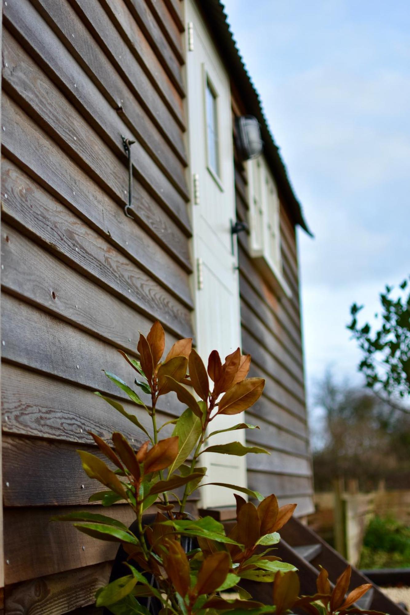 The Deer Hut Διαμέρισμα Burpham Εξωτερικό φωτογραφία